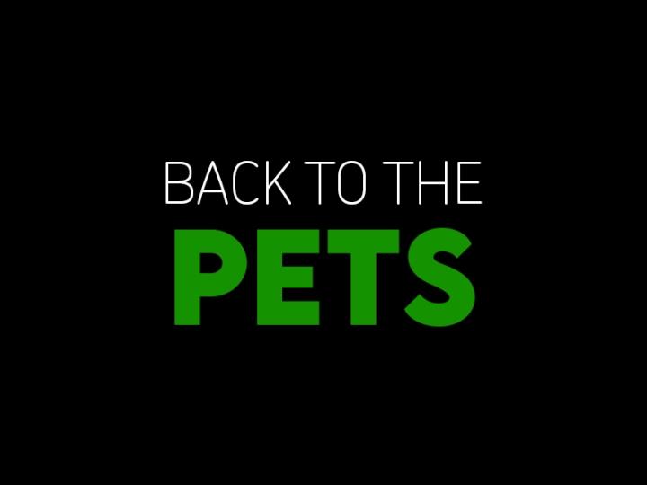 Back to the Pets